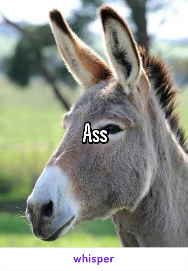 Ass