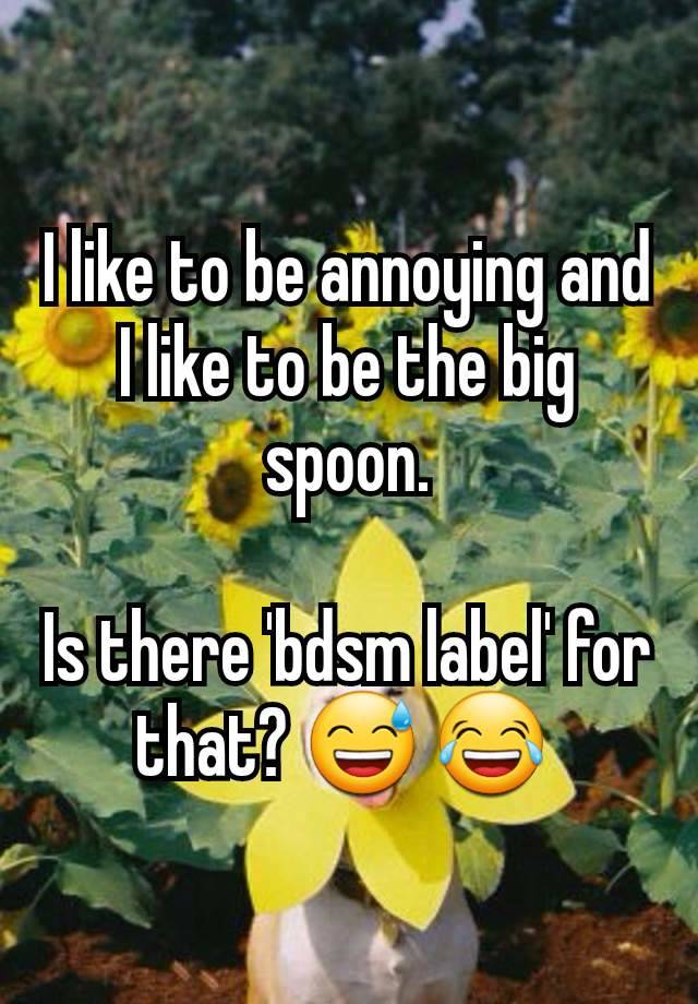 I like to be annoying and I like to be the big spoon.

Is there 'bdsm label' for that? 😅 😂 