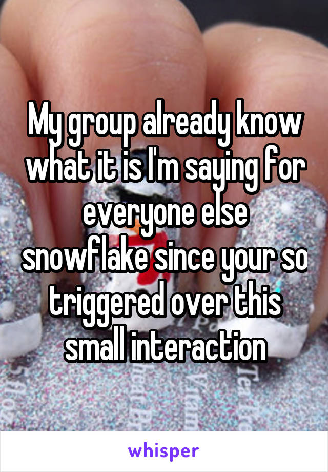 My group already know what it is I'm saying for everyone else snowflake since your so triggered over this small interaction