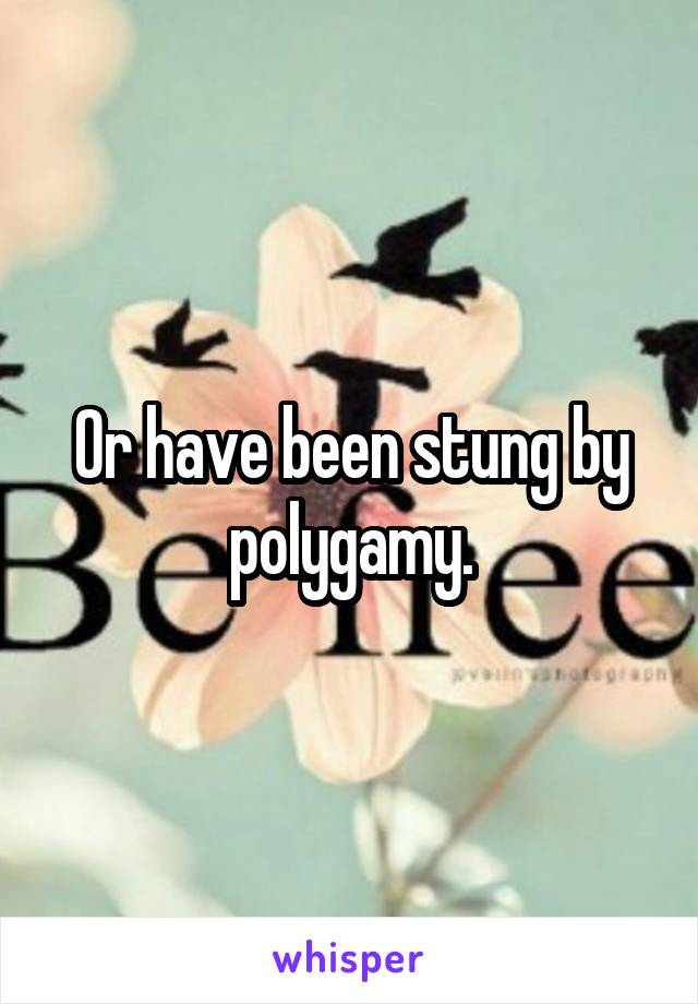 Or have been stung by polygamy.