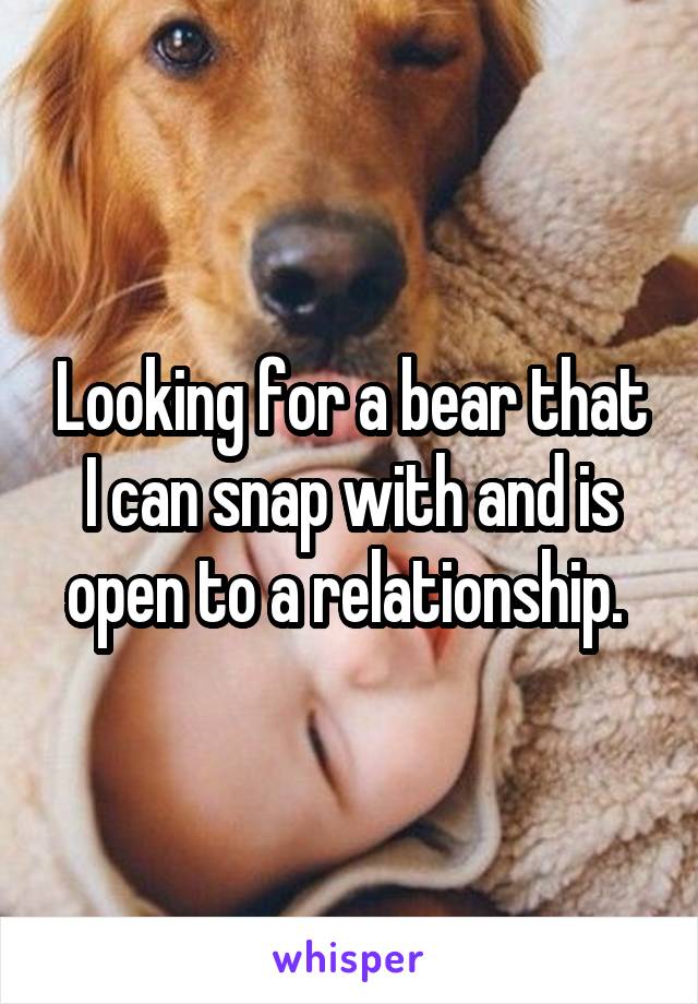 Looking for a bear that I can snap with and is open to a relationship. 