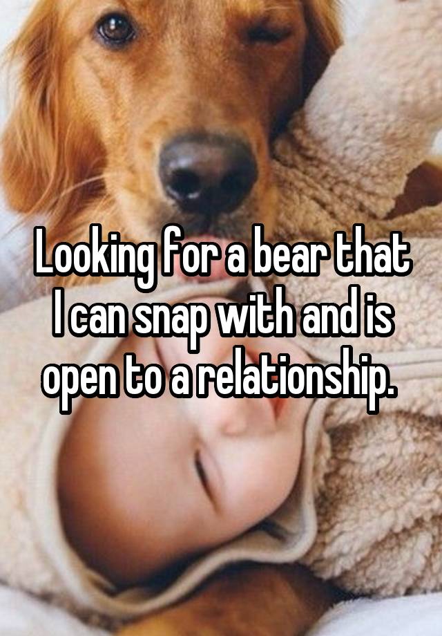 Looking for a bear that I can snap with and is open to a relationship. 