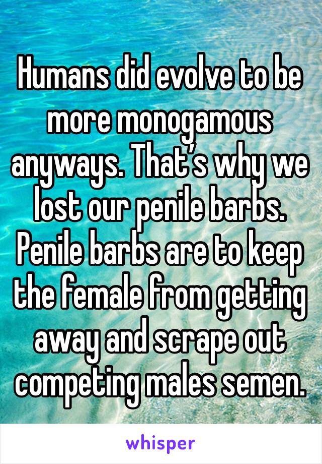 Humans did evolve to be more monogamous anyways. That’s why we lost our penile barbs. Penile barbs are to keep the female from getting away and scrape out competing males semen.