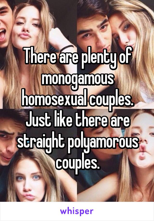 There are plenty of monogamous homosexual couples. Just like there are straight polyamorous couples.