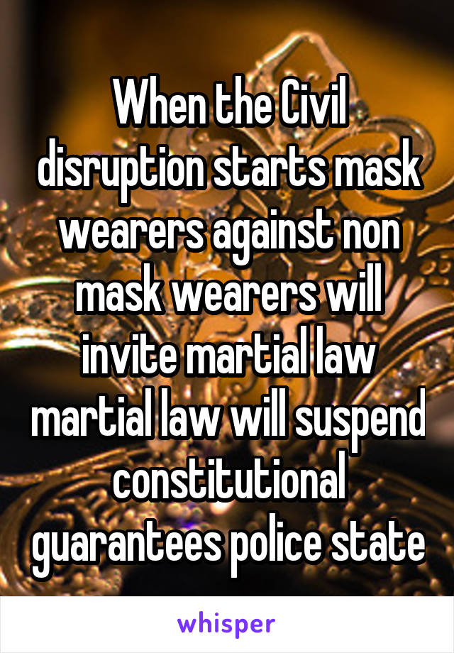 When the Civil disruption starts mask wearers against non mask wearers will invite martial law martial law will suspend constitutional guarantees police state