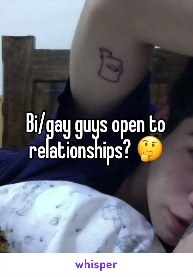 Bi/gay guys open to relationships? 🤔 