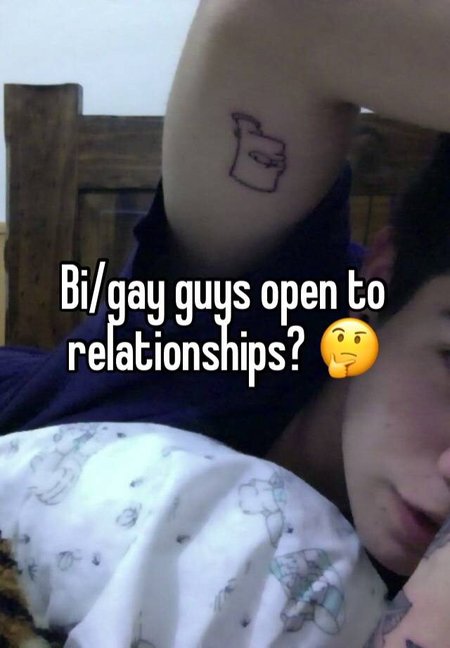 Bi/gay guys open to relationships? 🤔 