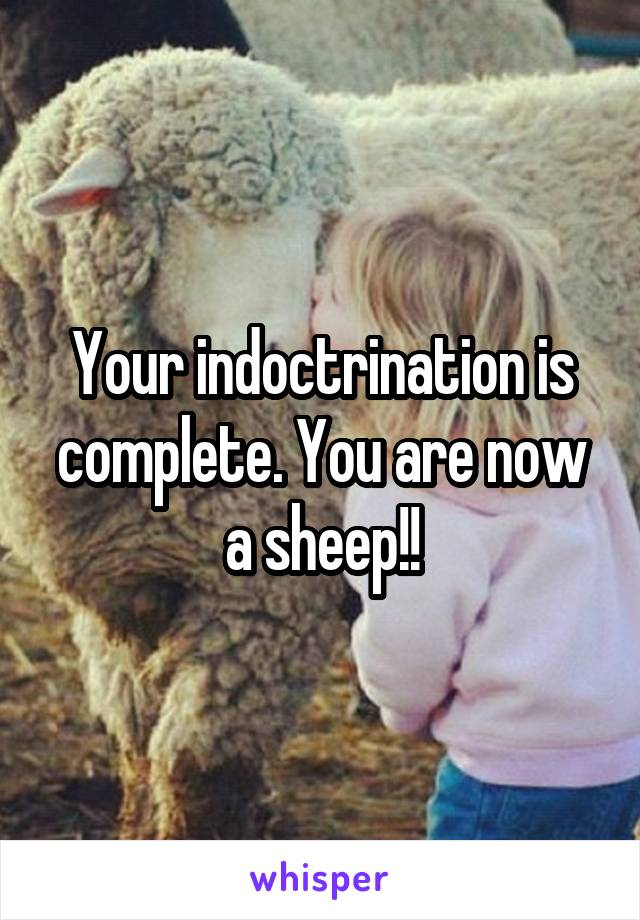 Your indoctrination is complete. You are now a sheep!!