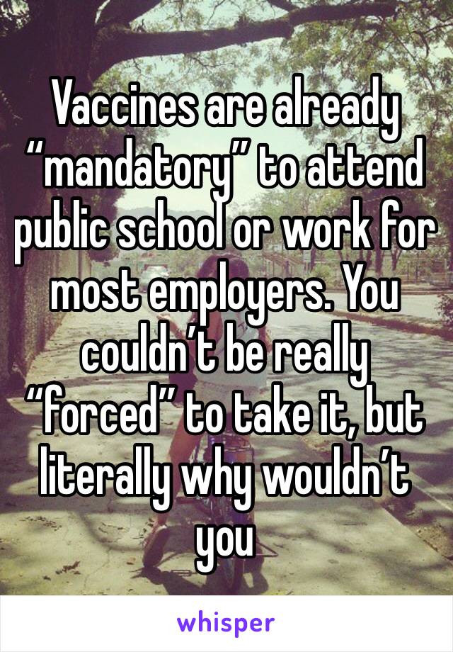 Vaccines are already “mandatory” to attend public school or work for most employers. You couldn’t be really “forced” to take it, but literally why wouldn’t you