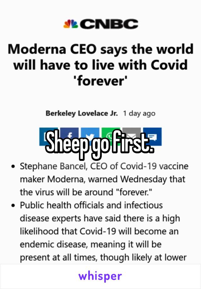 Sheep go first. 