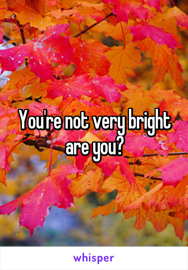 You're not very bright are you?