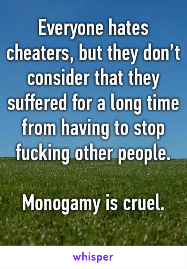 Everyone hates cheaters, but they don’t consider that they suffered for a long time from having to stop fucking other people. 

Monogamy is cruel. 