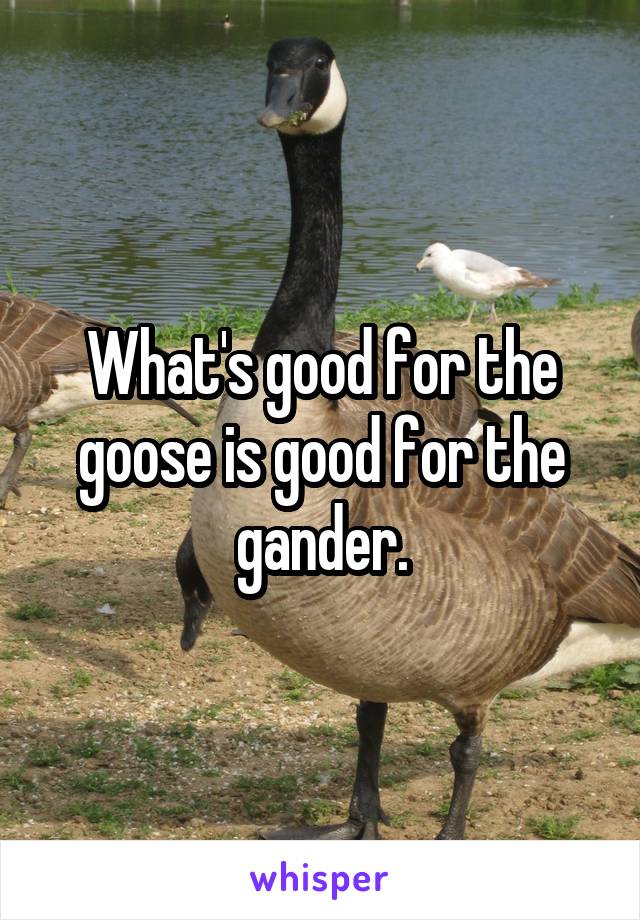 What's good for the goose is good for the gander.