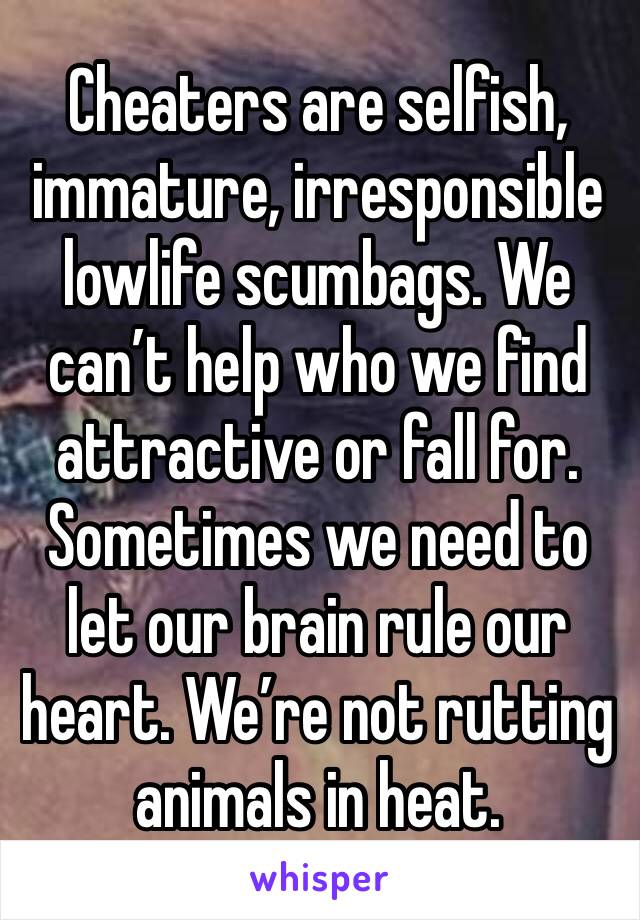 Cheaters are selfish, immature, irresponsible lowlife scumbags. We can’t help who we find attractive or fall for. Sometimes we need to let our brain rule our heart. We’re not rutting animals in heat.