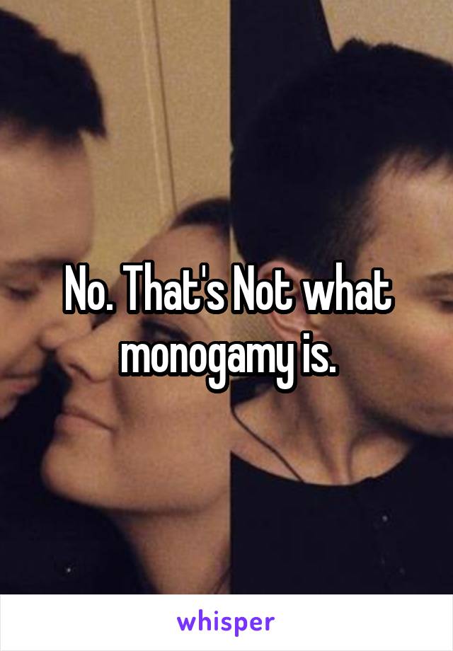 No. That's Not what monogamy is.