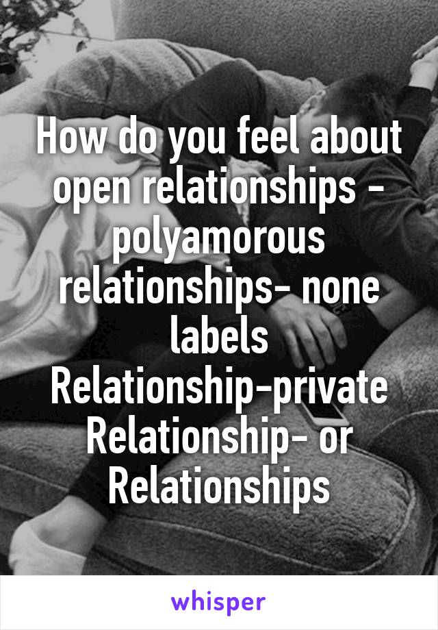 How do you feel about open relationships - polyamorous relationships- none labels Relationship-private Relationship- or Relationships