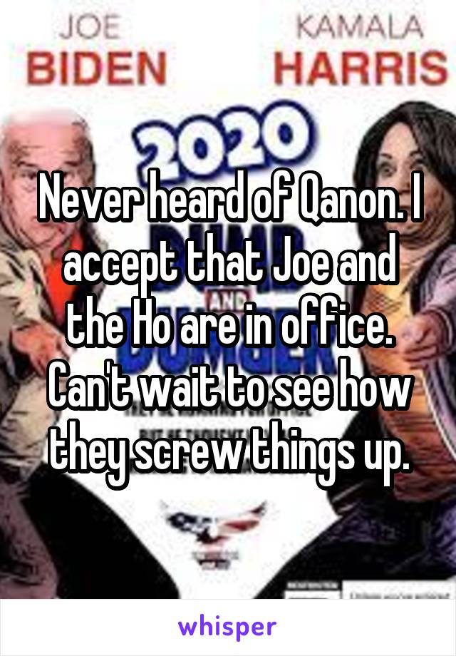 Never heard of Qanon. I accept that Joe and the Ho are in office. Can't wait to see how they screw things up.