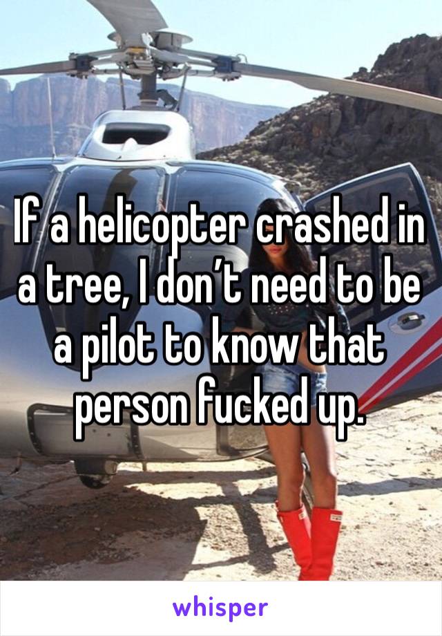 If a helicopter crashed in a tree, I don’t need to be a pilot to know that person fucked up.