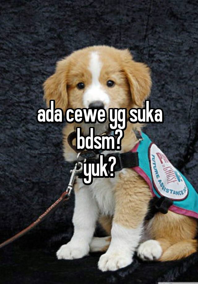 ada cewe yg suka bdsm?
yuk?