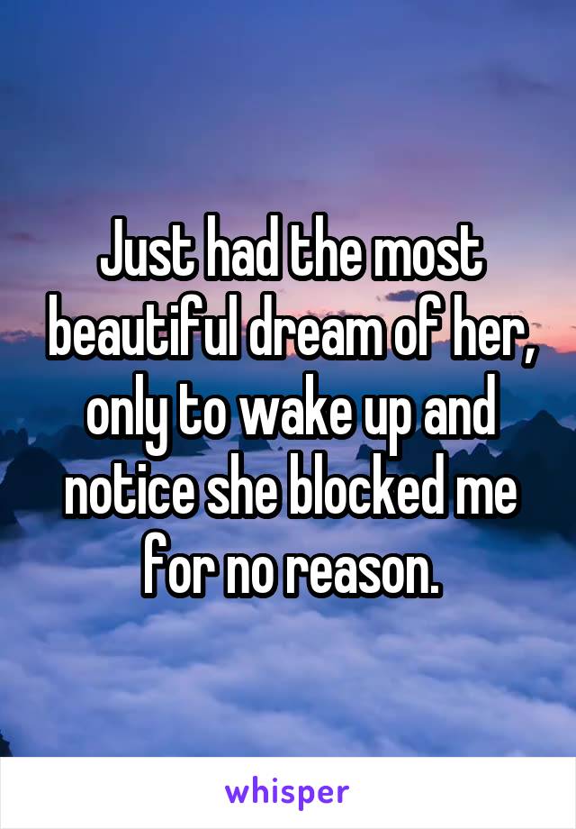 Just had the most beautiful dream of her, only to wake up and notice she blocked me for no reason.