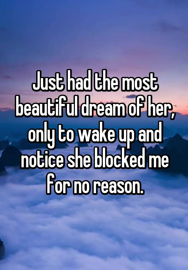 Just had the most beautiful dream of her, only to wake up and notice she blocked me for no reason.