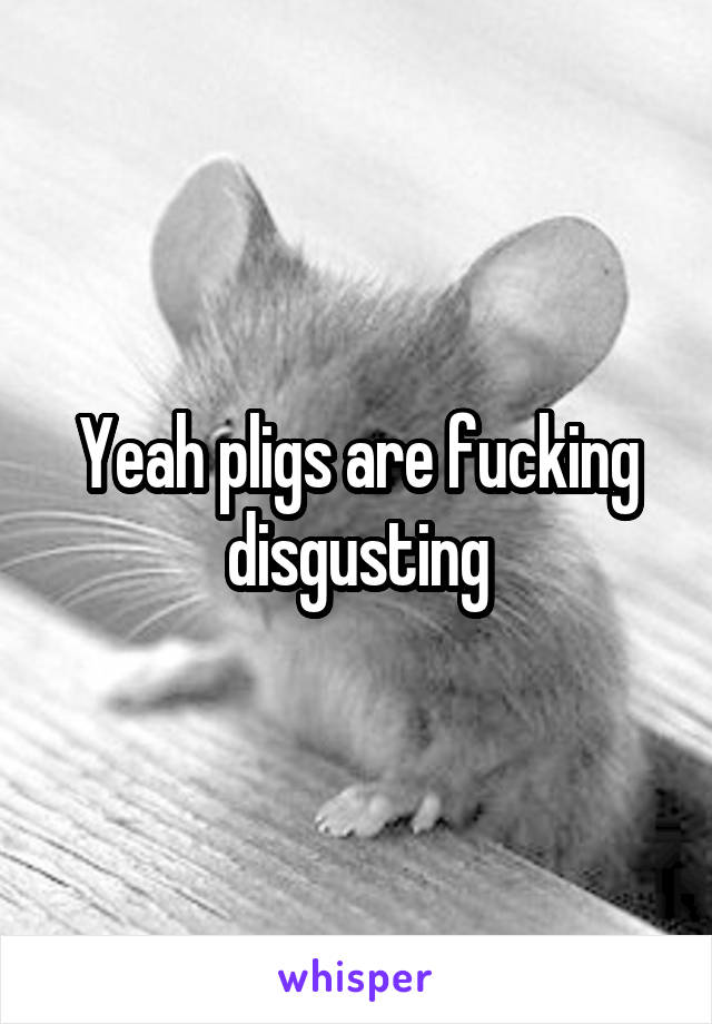 Yeah pligs are fucking disgusting