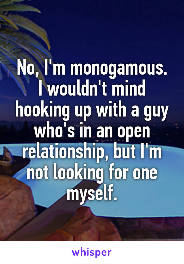 No, I'm monogamous.
I wouldn't mind hooking up with a guy who's in an open relationship, but I'm not looking for one myself.