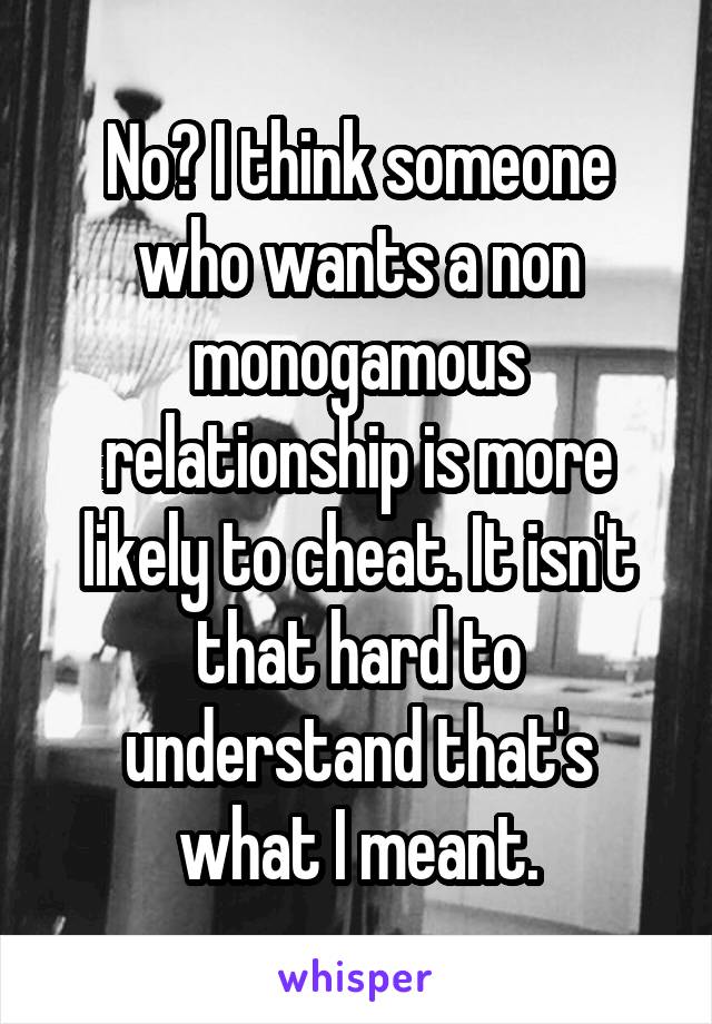 No? I think someone who wants a non monogamous relationship is more likely to cheat. It isn't that hard to understand that's what I meant.