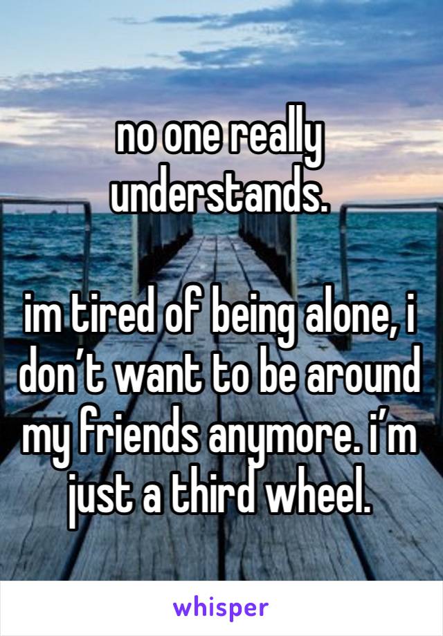 no one really understands.

im tired of being alone, i don’t want to be around my friends anymore. i’m just a third wheel. 