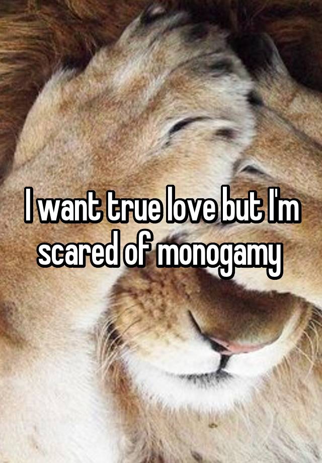 I want true love but I'm scared of monogamy 