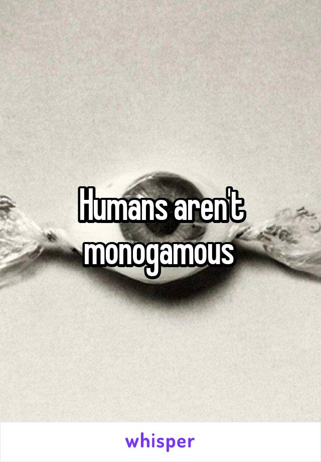 Humans aren't monogamous 