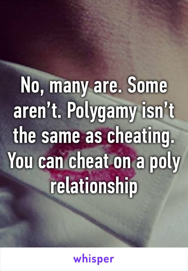 No, many are. Some aren’t. Polygamy isn’t the same as cheating. You can cheat on a poly relationship 