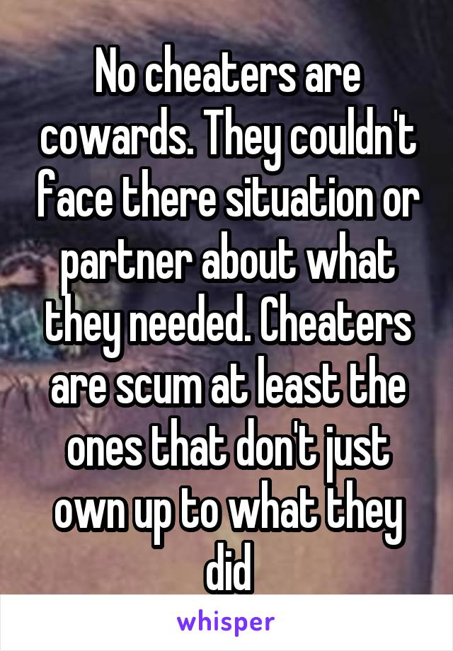 No cheaters are cowards. They couldn't face there situation or partner about what they needed. Cheaters are scum at least the ones that don't just own up to what they did