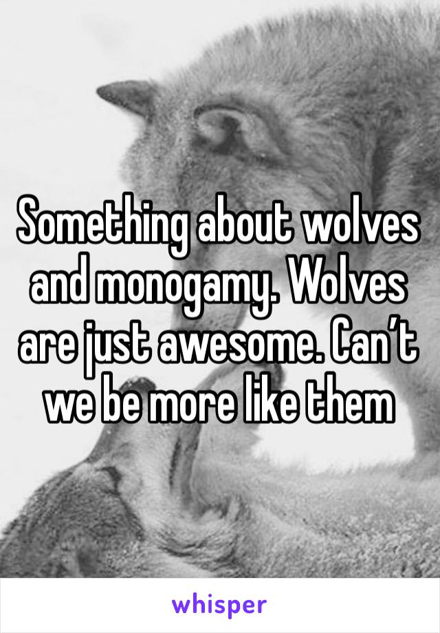 Something about wolves and monogamy. Wolves are just awesome. Can’t we be more like them 