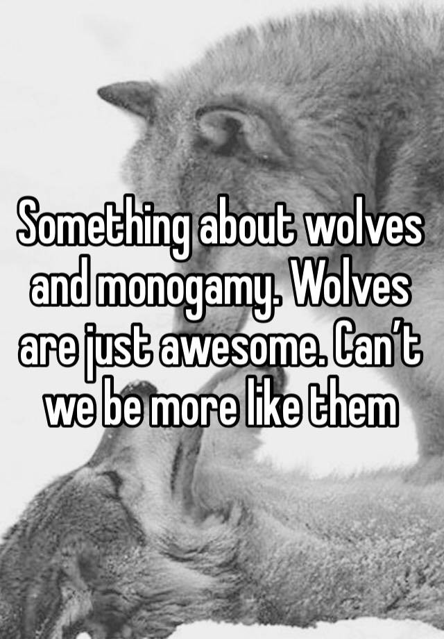 Something about wolves and monogamy. Wolves are just awesome. Can’t we be more like them 