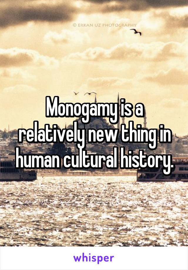 Monogamy is a relatively new thing in human cultural history.