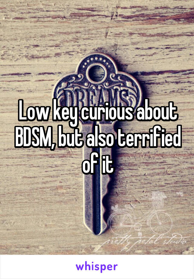 Low key curious about BDSM, but also terrified of it