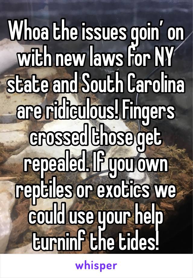 Whoa the issues goin’ on with new laws for NY state and South Carolina are ridiculous! Fingers crossed those get repealed. If you own reptiles or exotics we could use your help turninf the tides! 