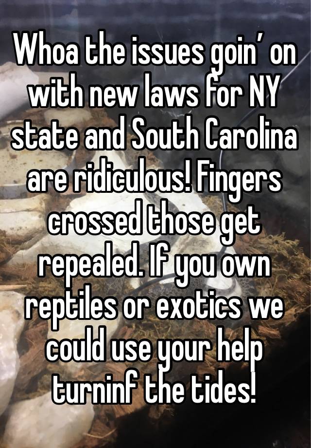 Whoa the issues goin’ on with new laws for NY state and South Carolina are ridiculous! Fingers crossed those get repealed. If you own reptiles or exotics we could use your help turninf the tides! 