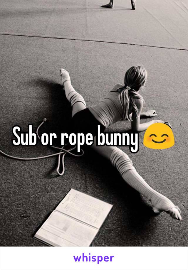 Sub or rope bunny 😊