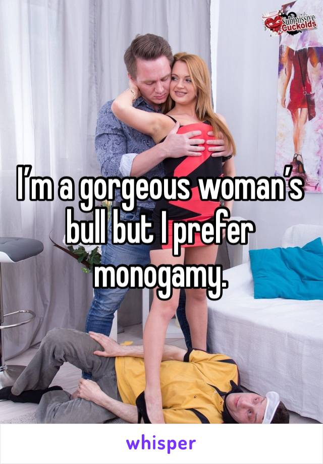 I’m a gorgeous woman’s bull but I prefer monogamy.