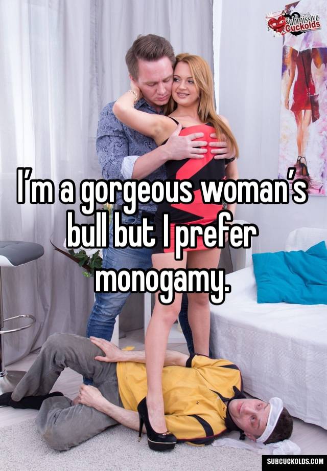 I’m a gorgeous woman’s bull but I prefer monogamy.