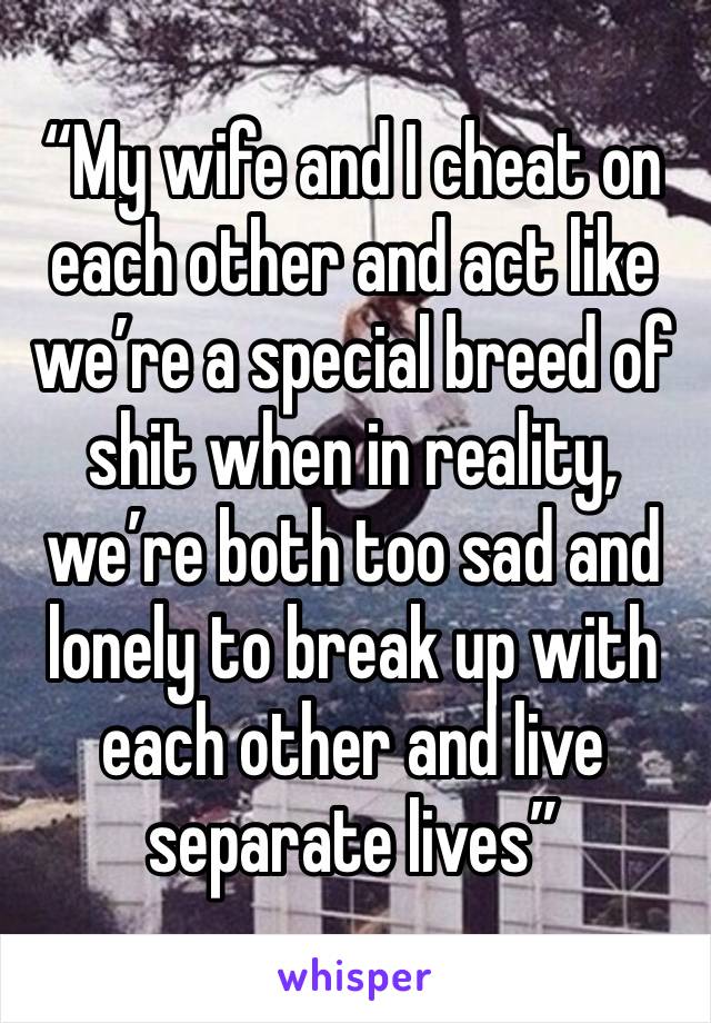 “My wife and I cheat on each other and act like we’re a special breed of shit when in reality, we’re both too sad and lonely to break up with each other and live separate lives” 