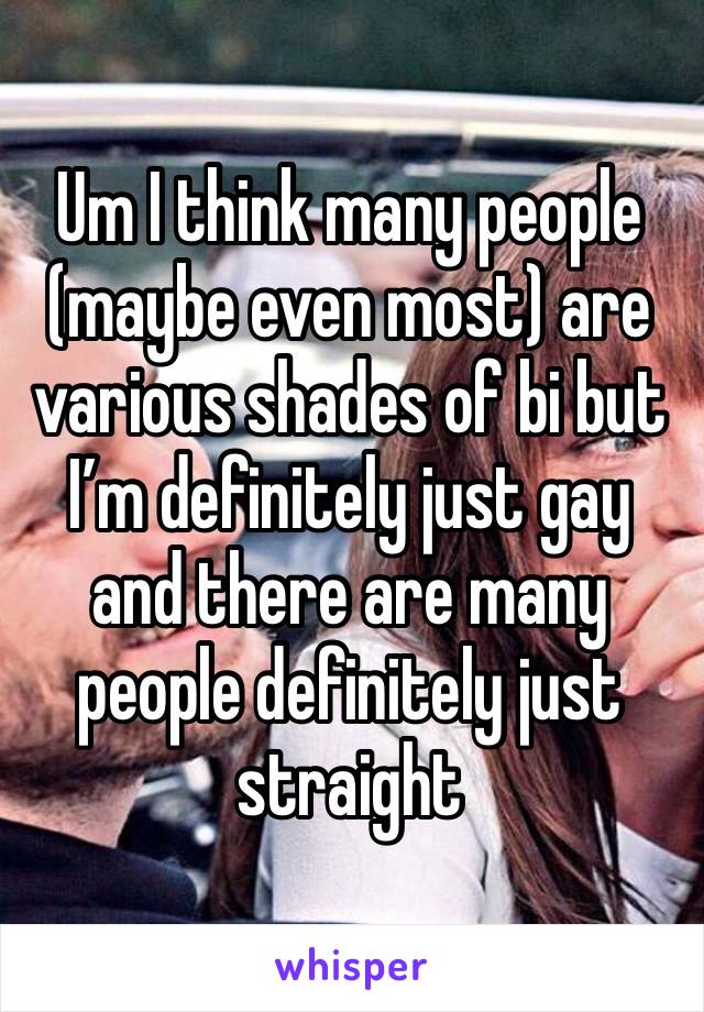 Um I think many people (maybe even most) are various shades of bi but I’m definitely just gay and there are many people definitely just straight