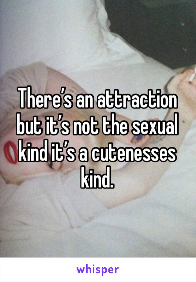 There’s an attraction but it’s not the sexual kind it’s a cutenesses kind. 