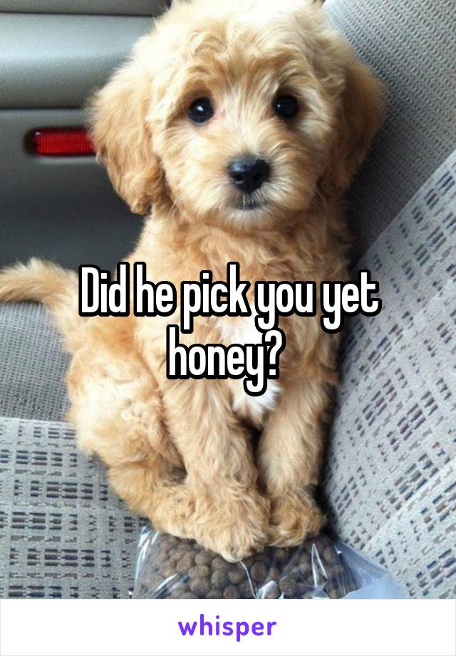 Did he pick you yet honey? 