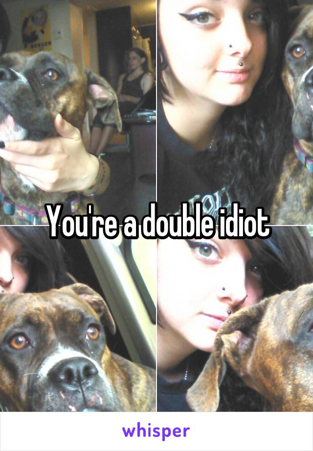 You're a double idiot