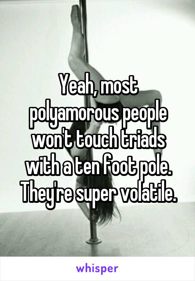 Yeah, most polyamorous people won't touch triads with a ten foot pole. They're super volatile.