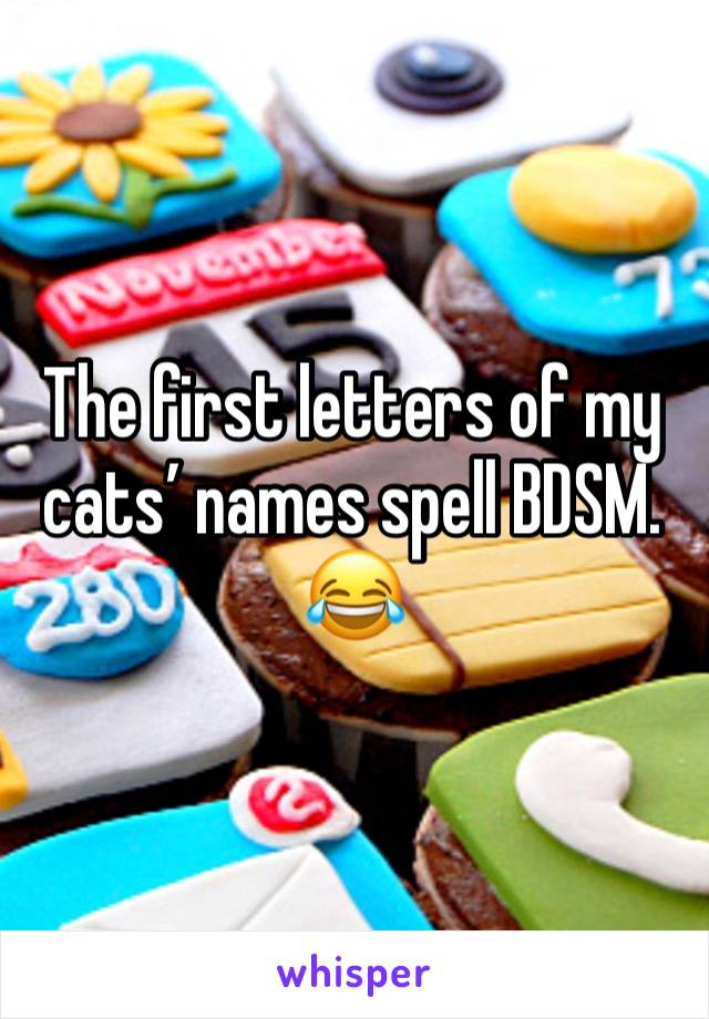 The first letters of my cats’ names spell BDSM. 😂