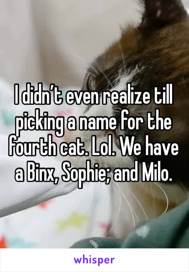 I didn’t even realize till picking a name for the fourth cat. Lol. We have a Binx, Sophie; and Milo. 